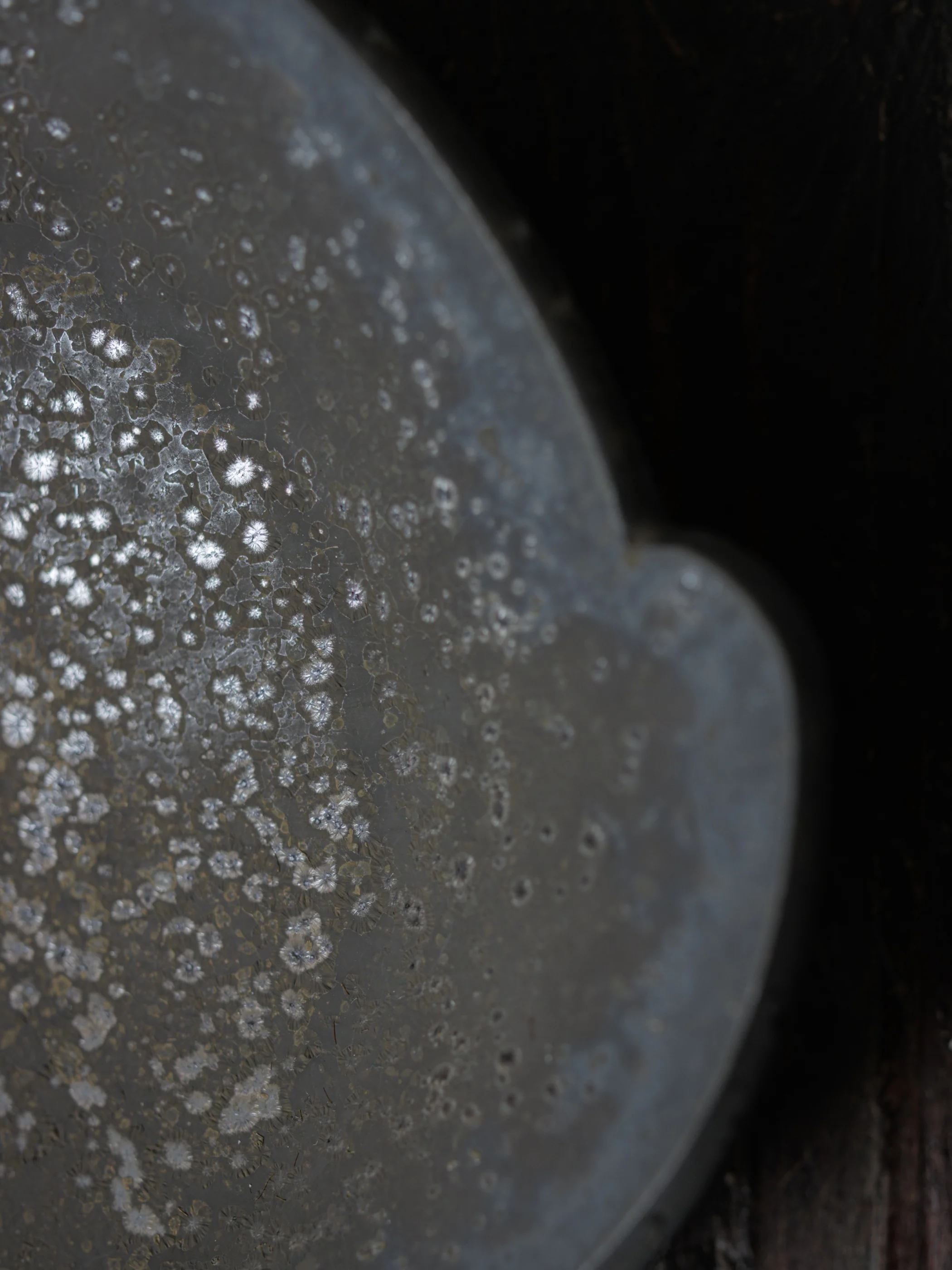 Object by 1218 x Professor.E｜Tray - Image 8